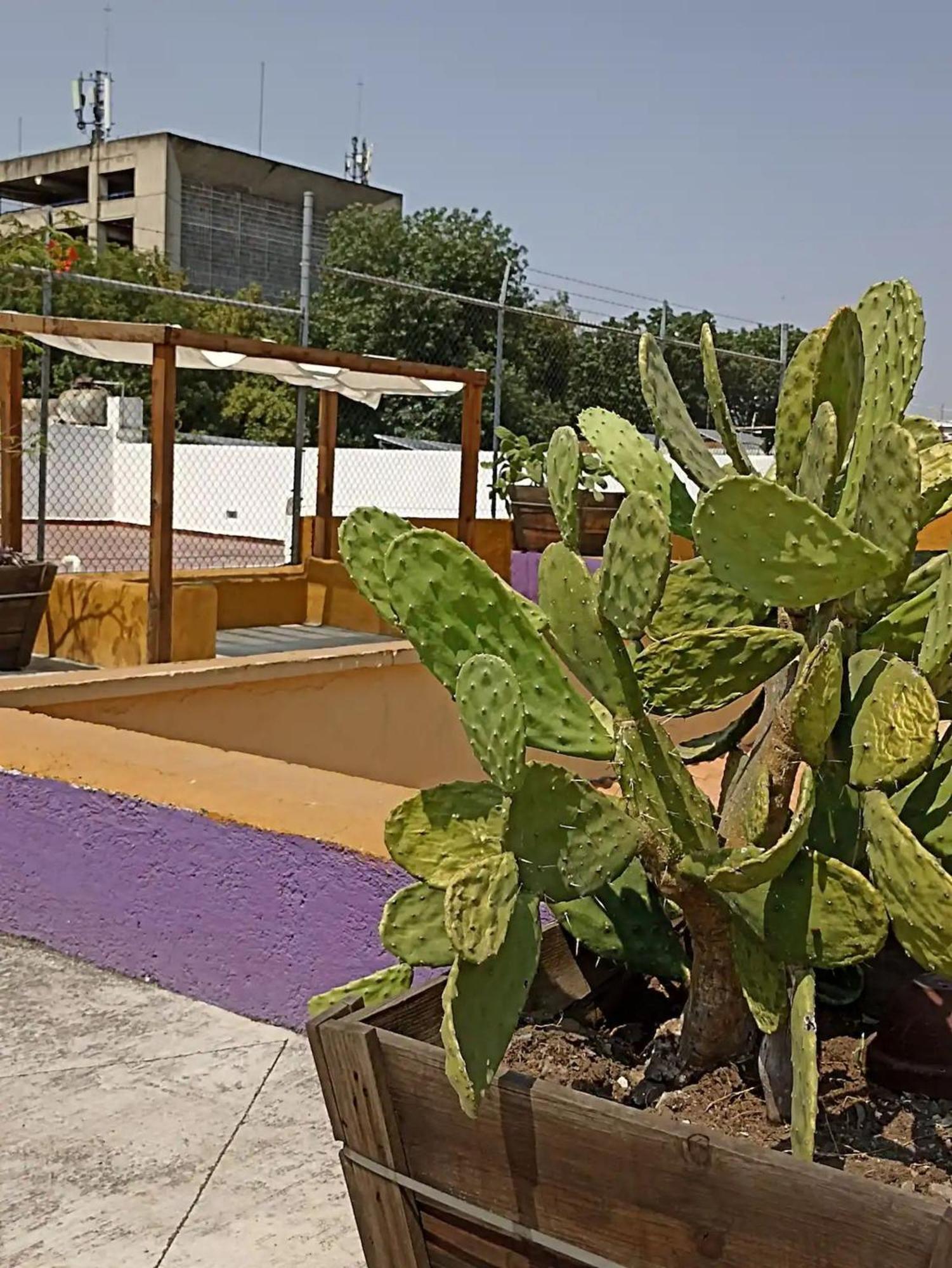 Villa Casa Mariano Guadalajara Esterno foto
